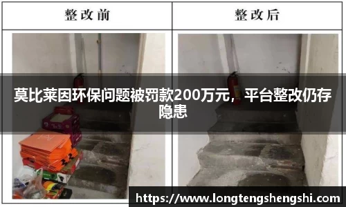 莫比莱因环保问题被罚款200万元，平台整改仍存隐患