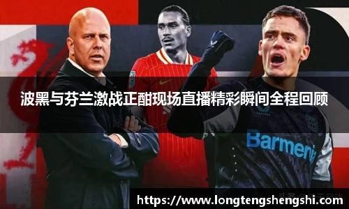 波黑与芬兰激战正酣现场直播精彩瞬间全程回顾